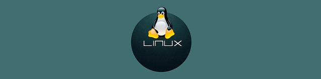 Linux
